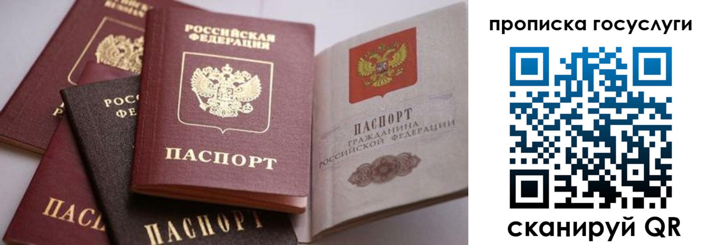 прописка иностранных граждан в Пестово