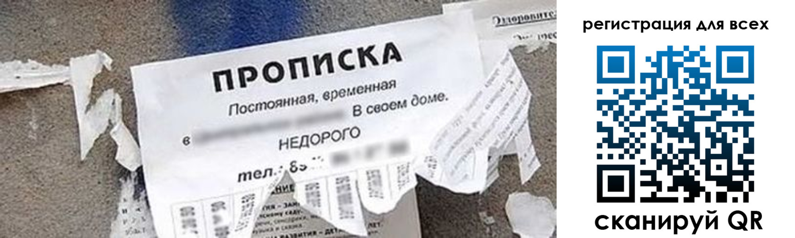 прописка поиск в Пестово